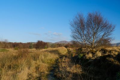 Walk photo