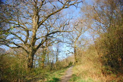 Walk photo
