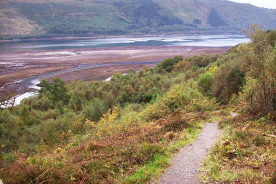 Walk photo