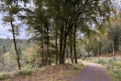 Walk photo