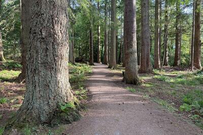 Walk photo