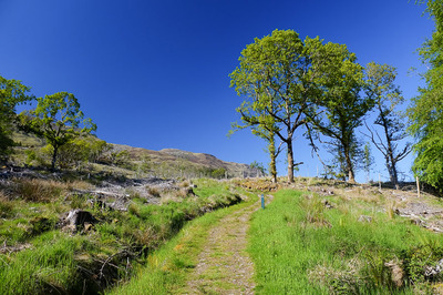 Walk photo