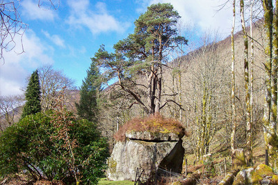 Walk photo