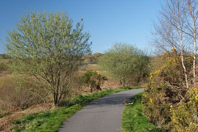 Walk photo