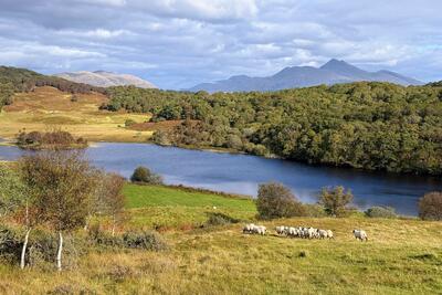 Black Lochs circuit, Connel