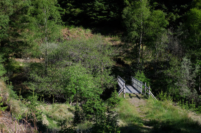 Walk photo