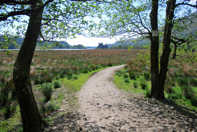 Walk photo
