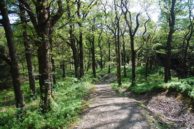 Walk photo