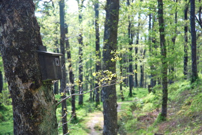 Walk photo