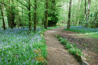 Walk photo