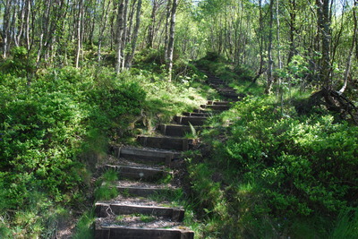 Walk photo