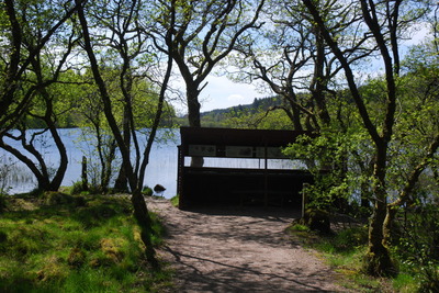 Walk photo
