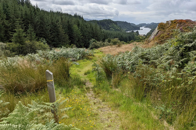 Walk photo