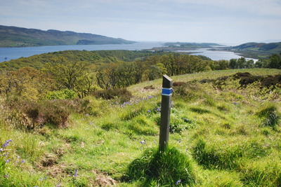 Walk photo