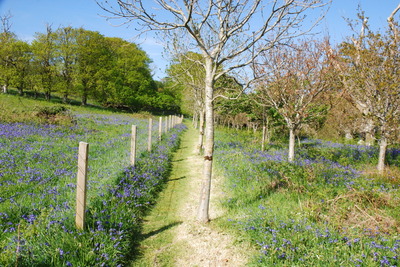 Walk photo