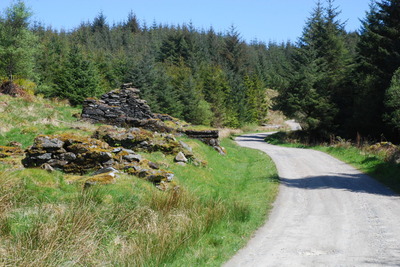 Walk photo