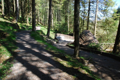 Walk photo