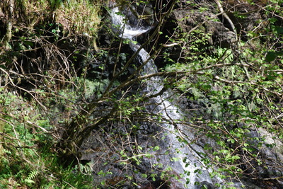 Walk photo