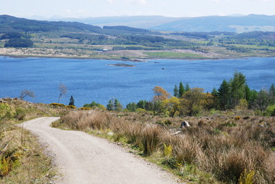 Walk photo
