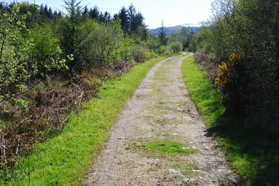 Walk photo