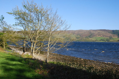 Walk photo
