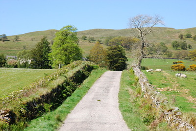 Walk photo