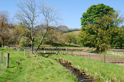 Walk photo