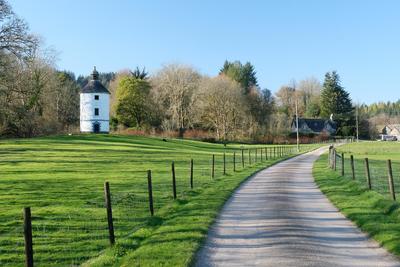Walk photo