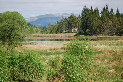 Walk photo