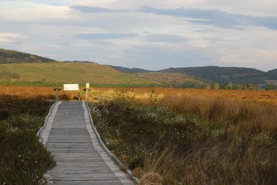 Walk photo