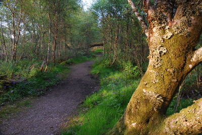 Walk photo