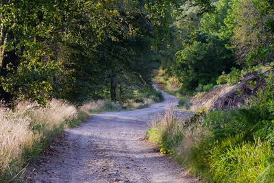 Walk photo