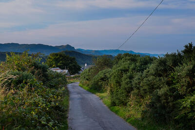 Walk photo