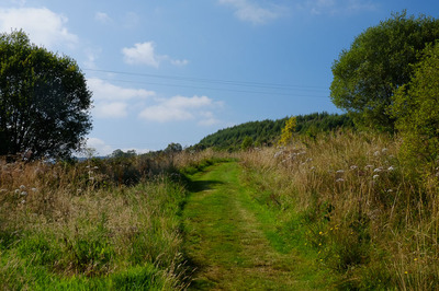 Walk photo