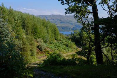 Walk photo
