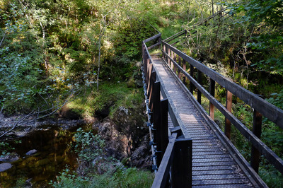 Walk photo
