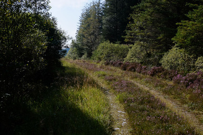 Walk photo