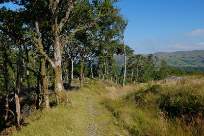 Walk photo
