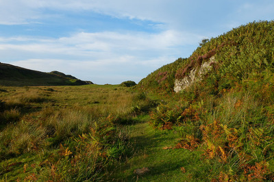 Walk photo