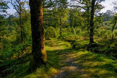 Walk photo
