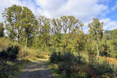 Walk photo