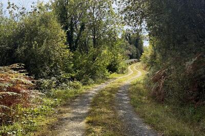 Walk photo