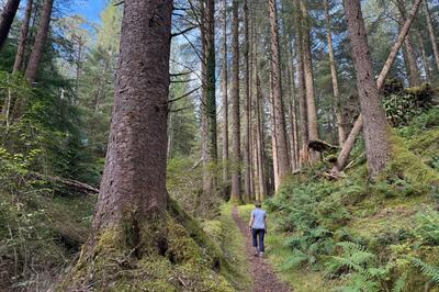 Walk photo