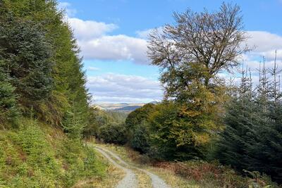 Walk photo