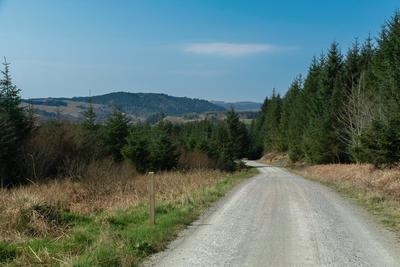 Walk photo