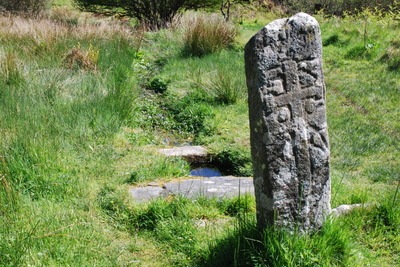 Walk photo