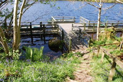Walk photo