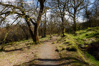Walk photo