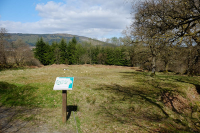 Walk photo