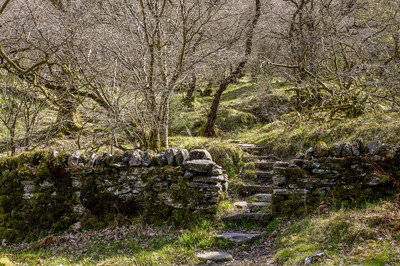 Walk photo
